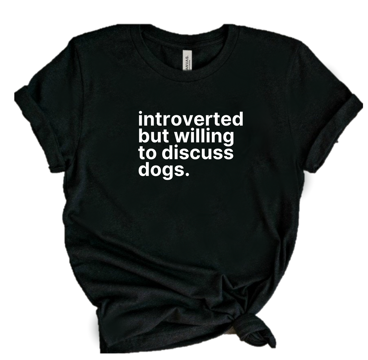INTROVERTED BUT WILLING TO DISCUSS DOGS
